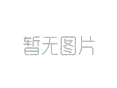 哈马斯：没有谈判，除非加沙永久停止